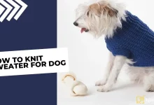 How To Knit Sweater For Dog