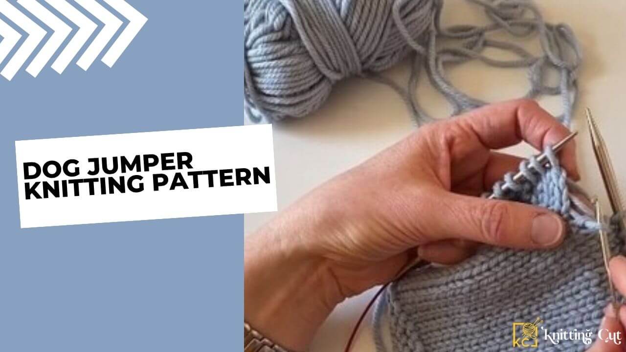 Dog Jumper Knitting Pattern